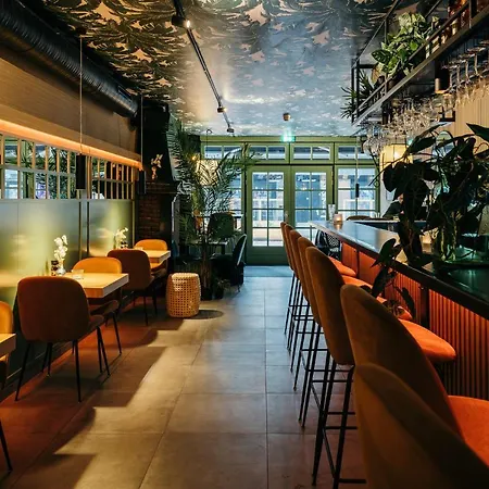 לינה וארוחת בוקר Winston