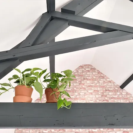 לינה וארוחת בוקר Winston 3*