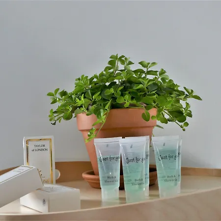 Winston Αϊντχόφεν